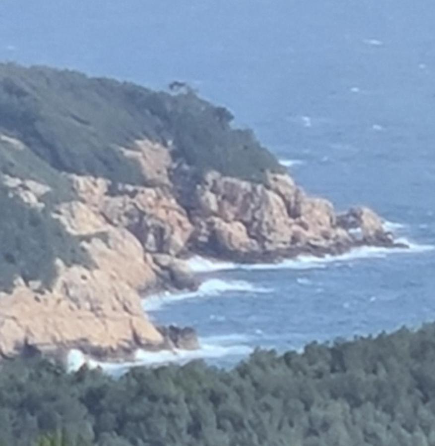 Daniel Διαμέρισμα Saint-Cyr-sur-Mer Εξωτερικό φωτογραφία